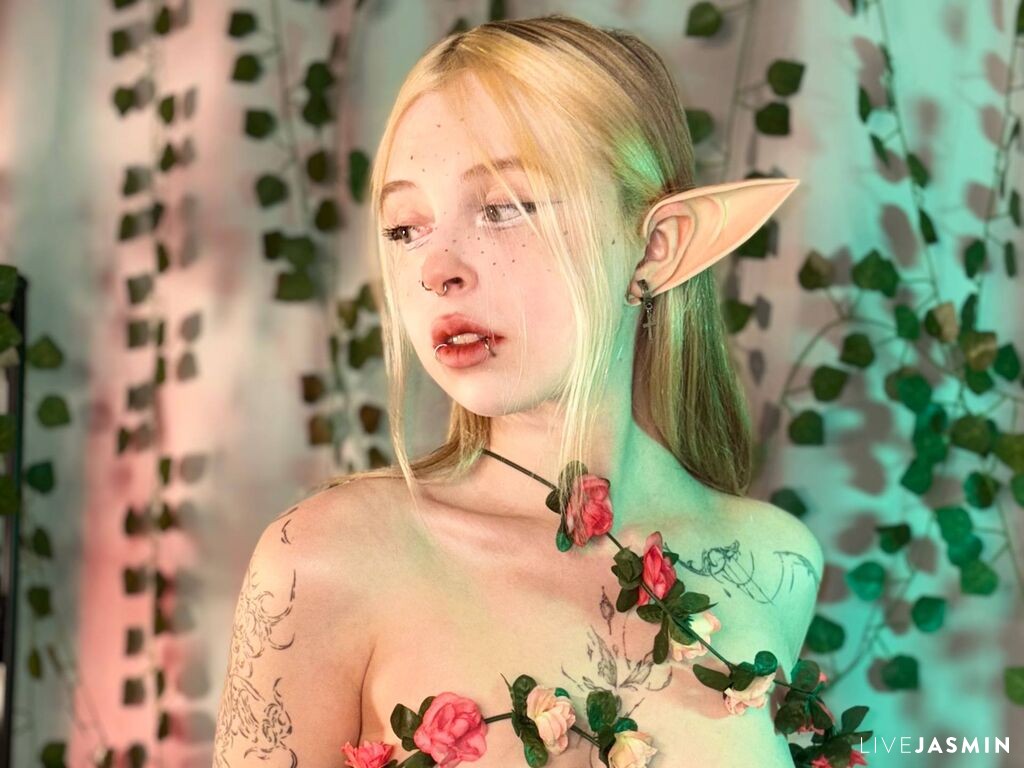 HildDryer live profile